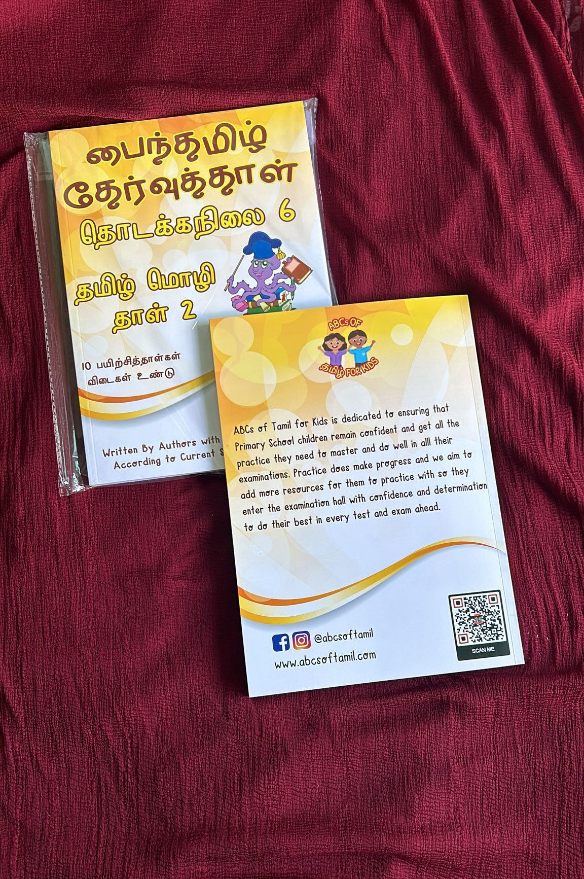 Payinthamizh Primary 6 TL Paper 2 (பைந்தமிழ் தேர்வுத்தாள்)
